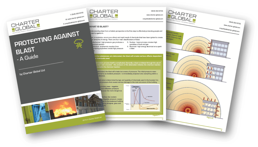 guide to blast standards